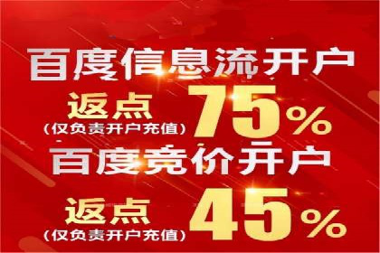 行业领先企业的百度竞价代运营经验分享
